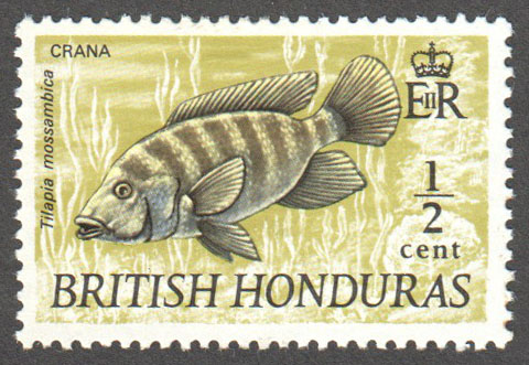 British Honduras Scott 235 Mint - Click Image to Close